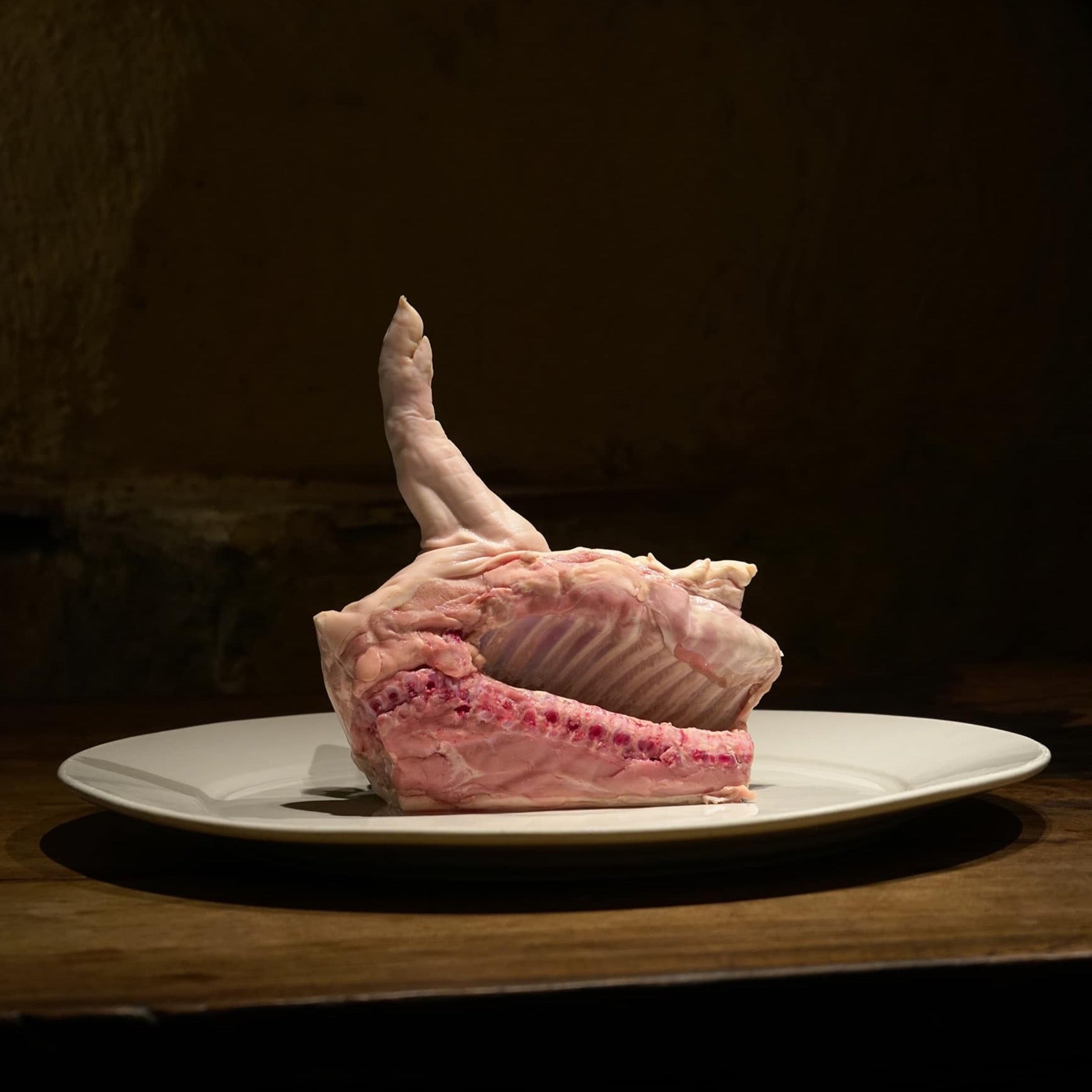Cochinillo